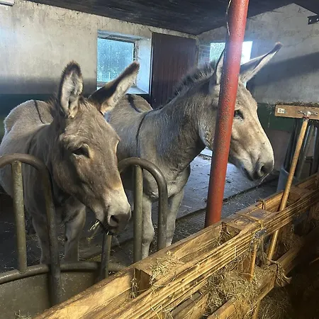 Knut's Nest דירה Westoverledingen