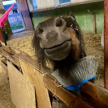 Knut's Nest דירה Westoverledingen