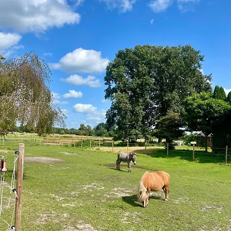 Knut's Nest דירה *