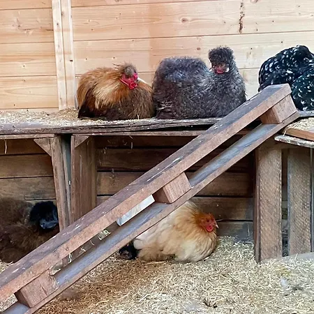 דירה Knut's Nest